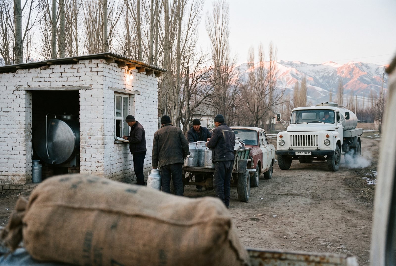 Farmers bring churns to a village collection point at dawn